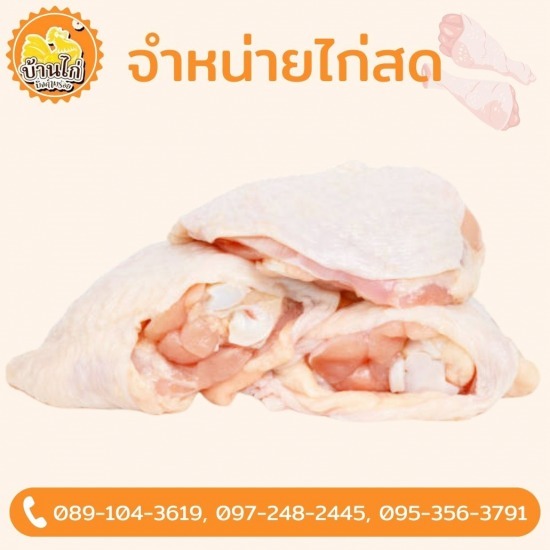 ขายส่งเนื้อไก่ - ขายส่งไก่ - บ้านไก่บึงคำพร้อย ขายส่งเนื้อไก่ - ขายส่งไก่ - บ้านไก่บึงคำพร้อย
