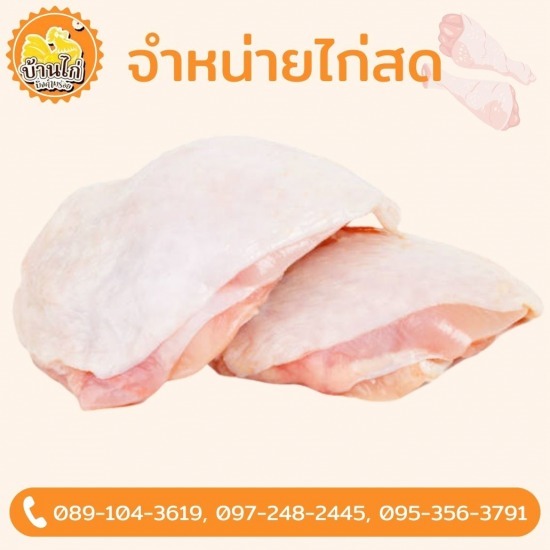 โรงงานไก่ เนื้อไก่ - ขายส่งไก่  - บ้านไก่บึงคำพร้อย