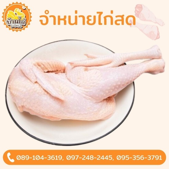 โรงงานผลิตเนื้อไก่ โรงงานผลิตเนื้อไก่