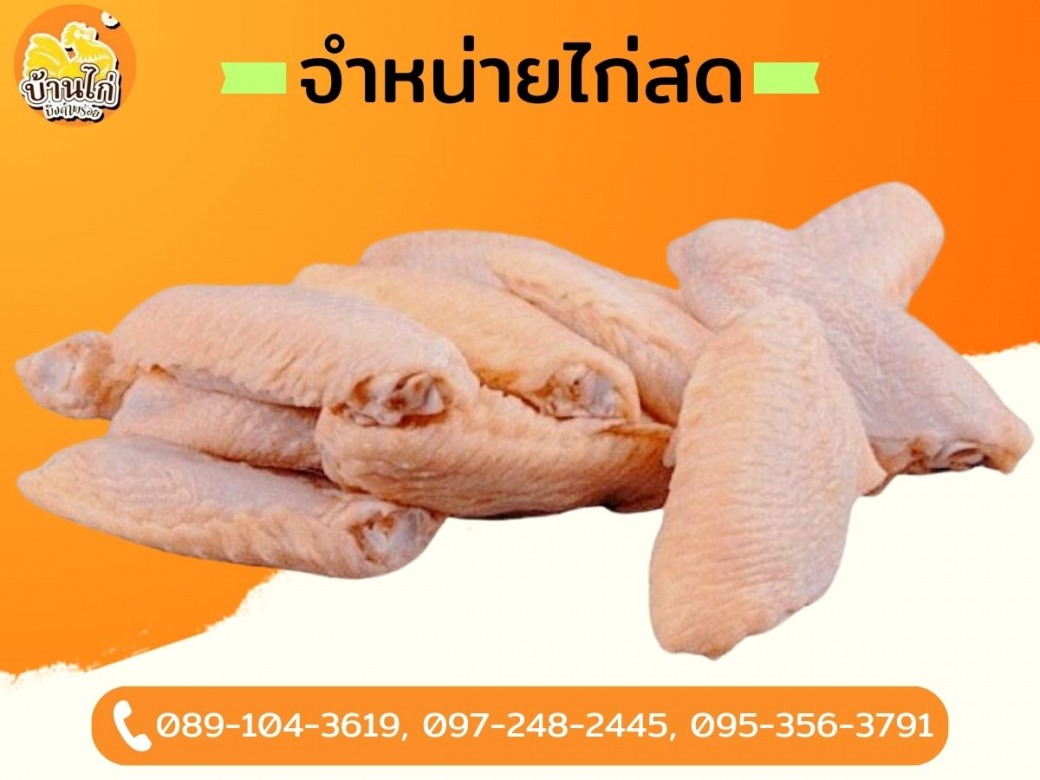 ร้านขายไก่สด ปทุมธานี
