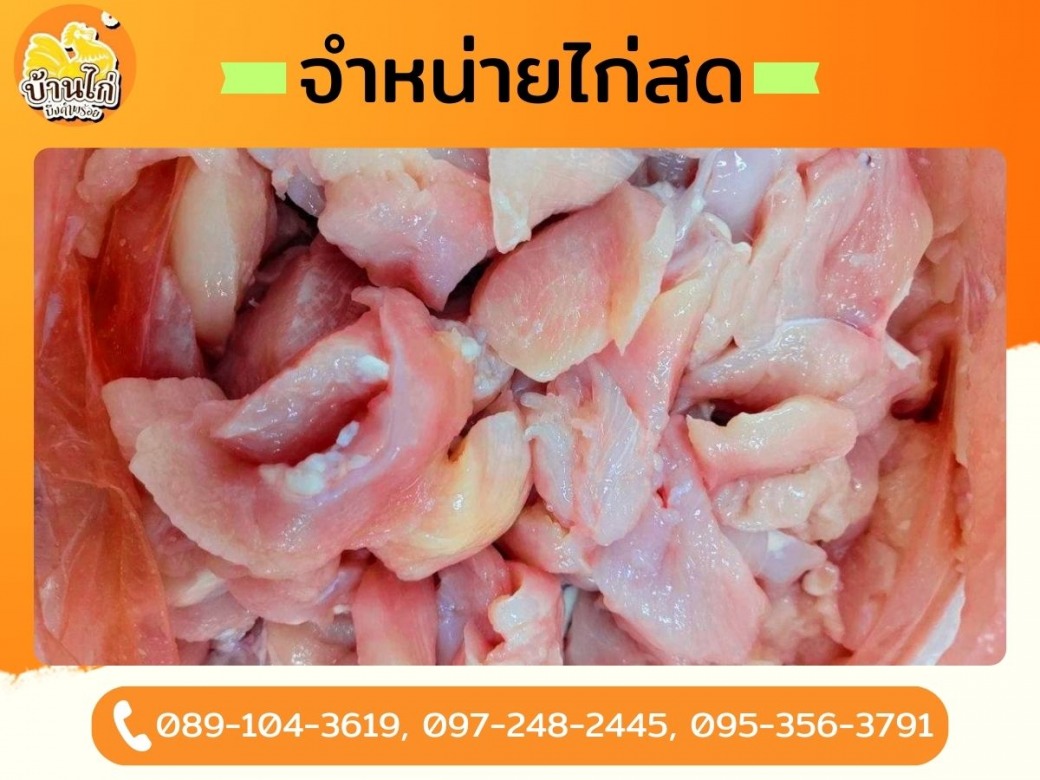 เนื้อไก่สดพร้อมส่ง เนื้อไก่สดพร้อมส่ง