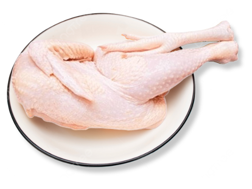 ร้านขายไก่สดราคาถูก
